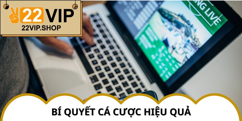 Tổng hợp kinh nghiệm từ chuyên gia